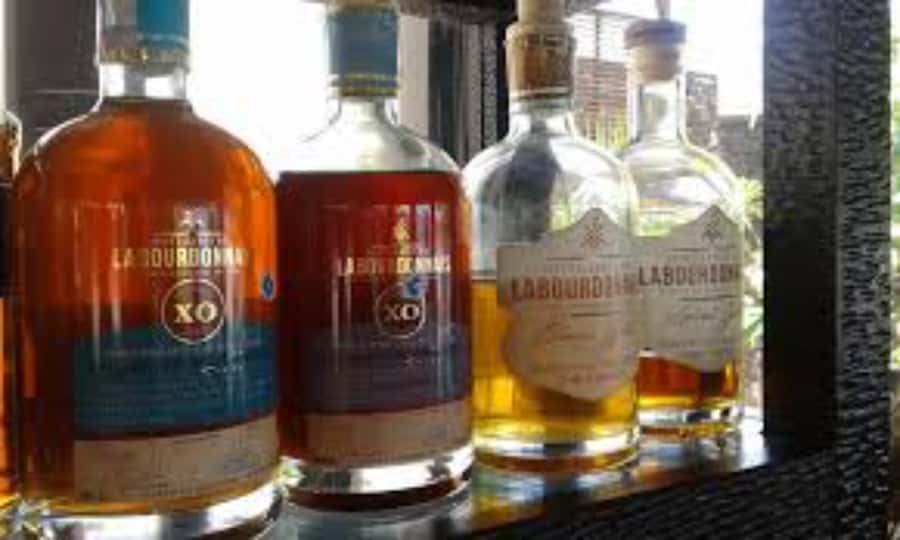 local Market,Botanical garden,Rum tasting & authentic Lunch - Why this northern Mauritius day works