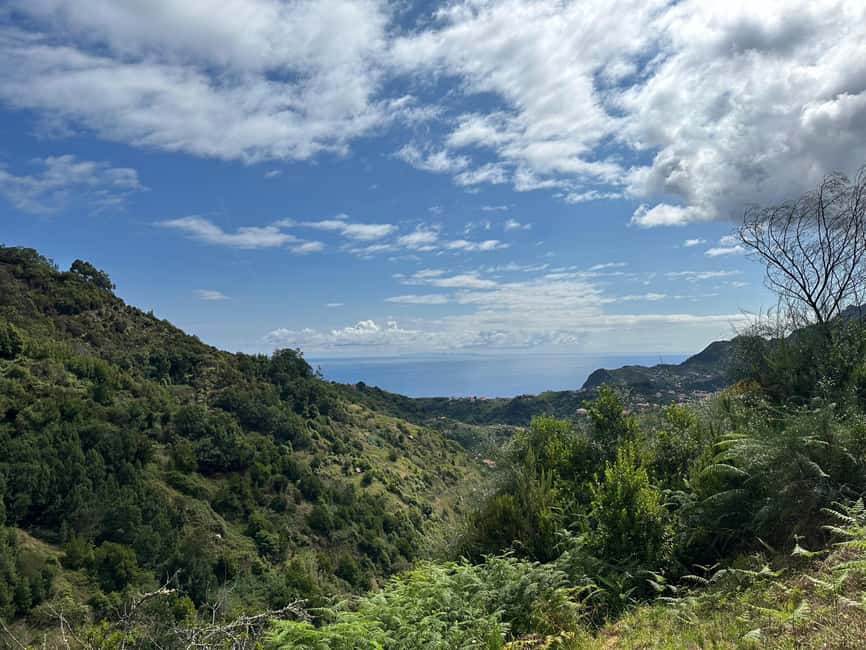 Madeira: Levada Walk and Santo da Serra Market Tour - Why this four-hour combination works