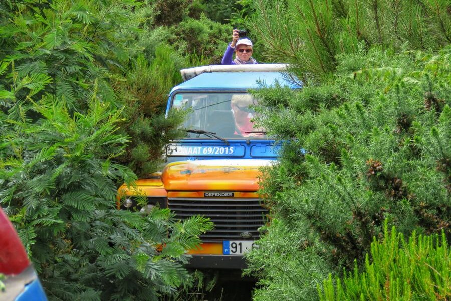 Madeira : Santo de Serra Local Farmers' Market half day trip - Viewpoints, terraces, and small village roads