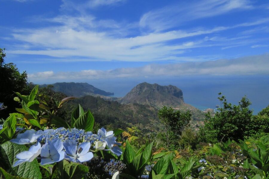 Madeira : Santo de Serra Local Farmers' Market half day trip - Is $49 a fair price?