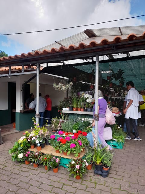 Madeira: Sunday Market in Santo da Serra - Starting from Funchal or Caniço
