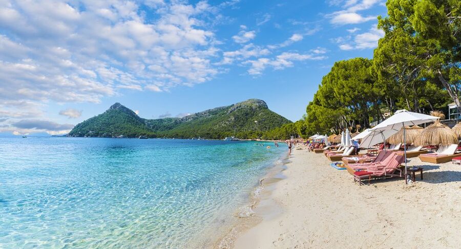 Mallorca: Alcudia Old Town, Market, and Formentor Beach - Making sense of Alcudia’s traditional market