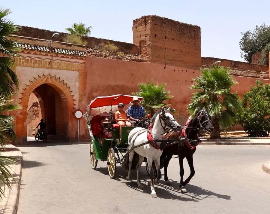 Marrakech: Half-Day Medina Markets Tour - Should you book the Marrakech Medina markets tour?