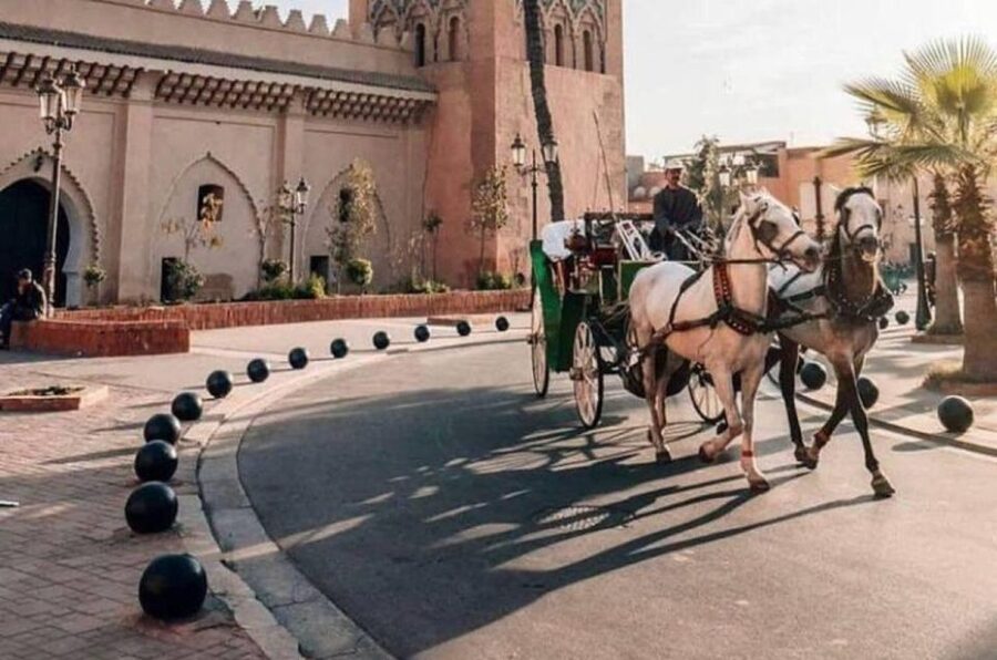 Marrakech: Hidden Souks Shopping Tour with Private Guide - Route Sidi Abdelaziz, the final shopping stop