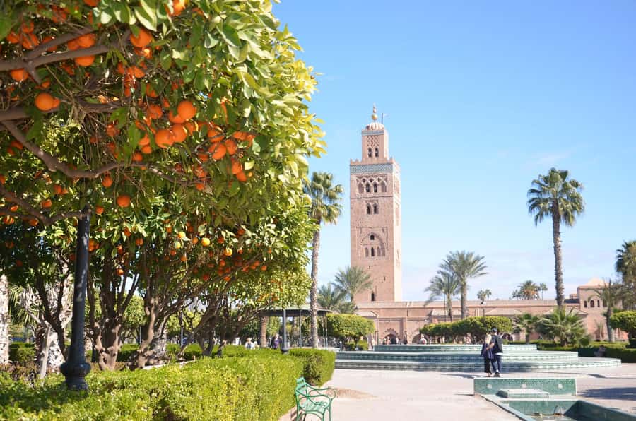 Marrakech: Monuments, Souks and Medina Guided Walking Tour - The Medina, Jemaa El Fna, and finding your way