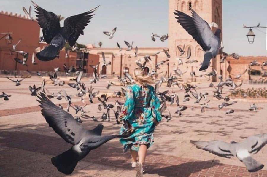 Marrakech: private Guided tour Of Vibrant Souks - What this Marrakech tour is really selling