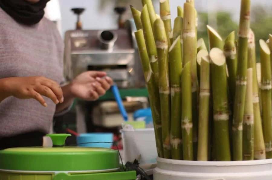 Marrakech: private Guided tour Of Vibrant Souks - The guide makes or breaks the experience