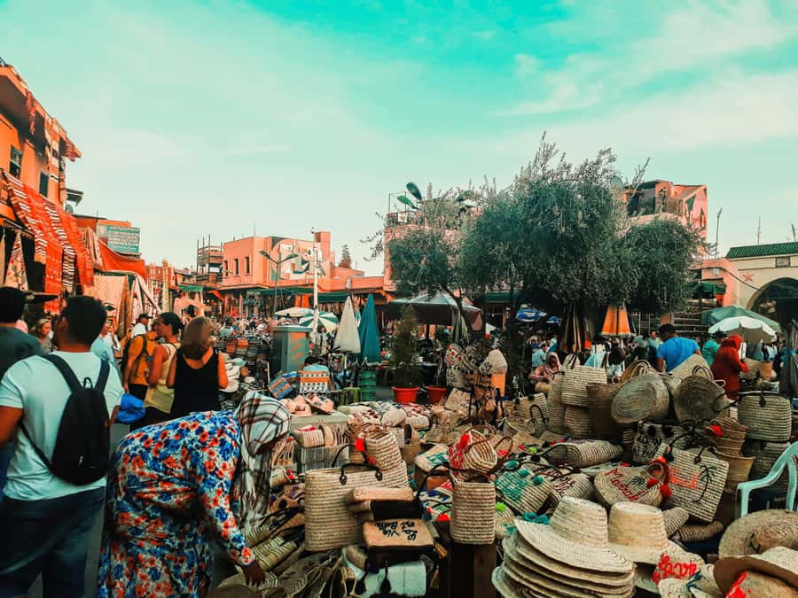 Marrakech & Souk Shopping Tour. - Who will enjoy this tour most