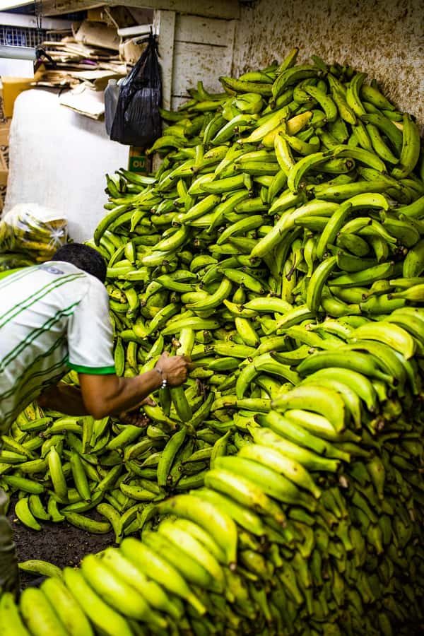 Medellín Multi-sensory Tour in the market, +15 Exotic Fruits - The long tasting sessions: come hungry, but not empty