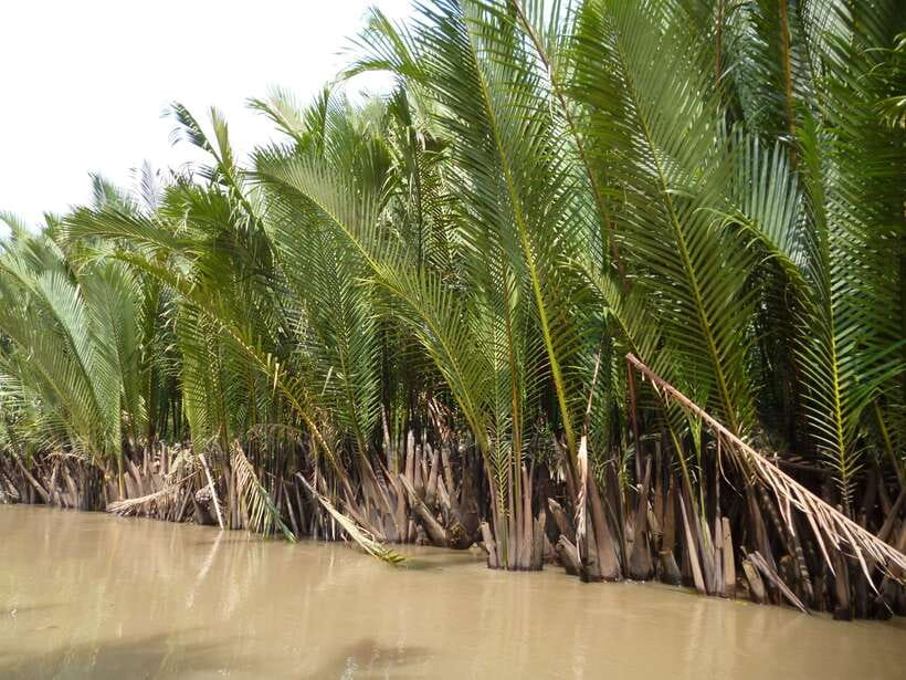 Mekong Day Tour by Car:Cai Be market, Local Island & Cycling - Honey tea, puffed rice, and small local industries