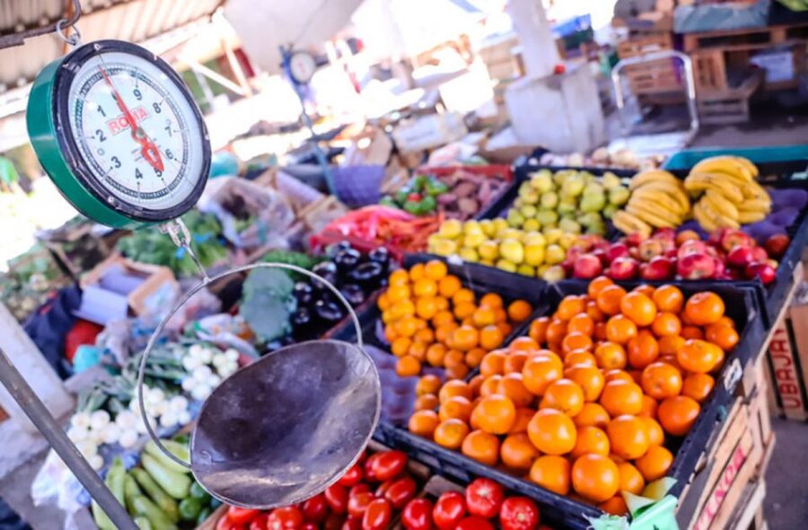 Mexico City: Exotic Food Tasting Tour & Local Markets - How the four-hour schedule feels