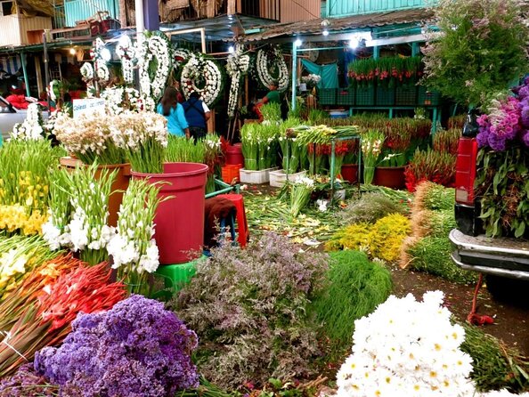 Mexico City: Hidden Markets, Street Food & Salsa-Making Tour - Street food from atole to tepache
