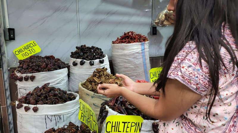 Mexico: Salsa Making Class in a Market with a Chef - Meeting at Etnofood in Oaxaca Centro