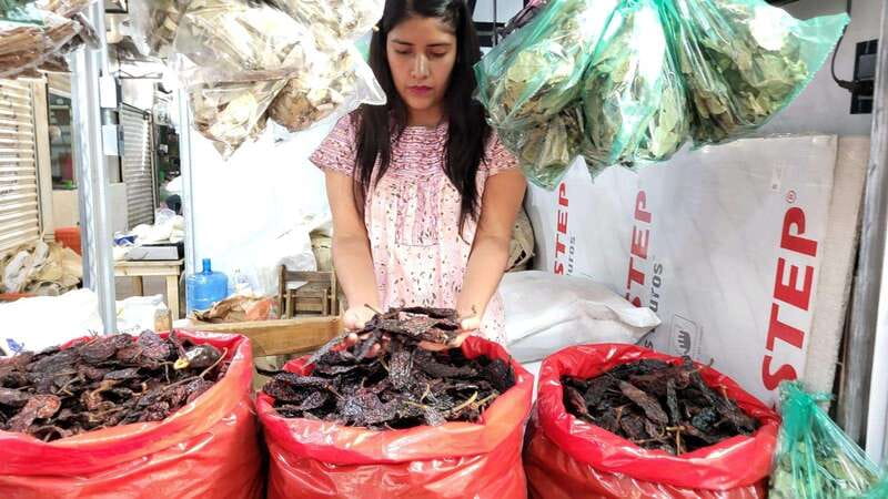 Mexico: Salsa Making Class in a Market with a Chef - Who Will Get the Most From the $64 Price