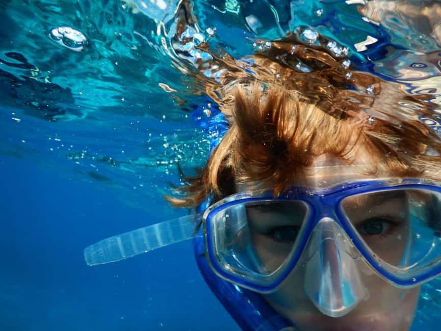 Miami Snorkeling for Beginners from Bayside Market Place - What beginner snorkeling is really like