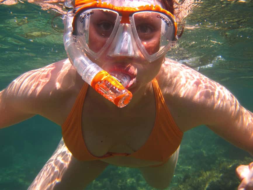 Miami Snorkeling for Beginners from Bayside Market Place - Swimming, sunbathing, and free time