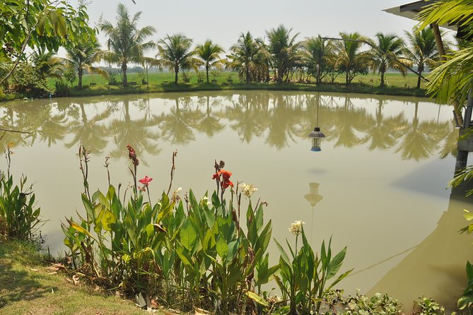 Morning Cooking Class in Organic Farm with Local Market Tour - The ride to the organic farm outside Chiang Mai