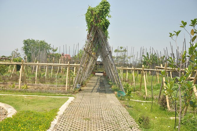 Morning Cooking Class in Organic Farm with Local Market Tour - Timing, pickup, and cancellation details