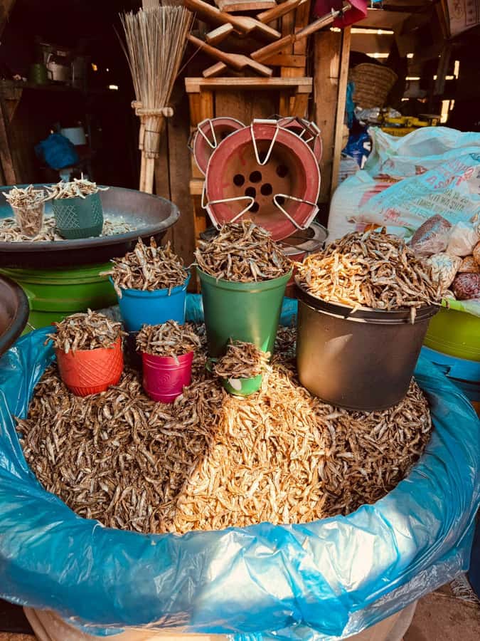 Moshi: Town tour and Local Markets tour - Who will enjoy this Moshi town tour most