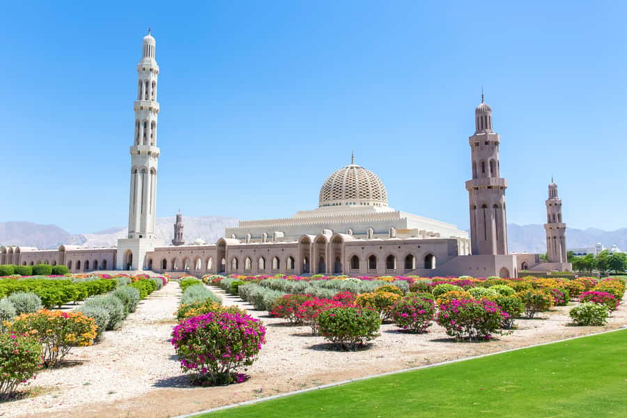Muscat: City Tour of Grand Mosque, Old Souqs, Museum, & Fort - Al Alam Palace: a quick royal photo stop