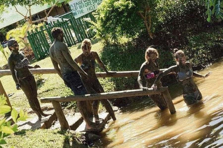 Nadi: Private Tour with Temple, Garden, Markets & Mud Pools - Garden of the Sleeping Giant: orchids in a cooler setting
