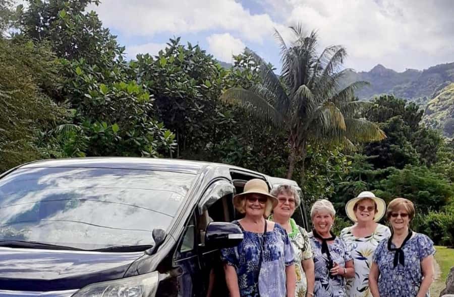 Nadi: Private Tour with Temple, Garden, Markets & Mud Pools - Sabeto Hot Springs and Mud Pool: the tour’s hands-on finish