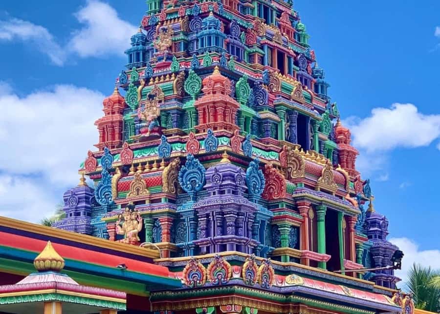 Nadi: Private Tour with Temple, Garden, Markets & Mud Pools - Who will enjoy this Nadi tour most