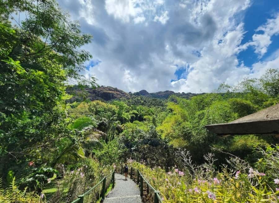 Nadi: Private Tour with Temple, Garden, Markets & Mud Pools - Booking flexibility and what to bring