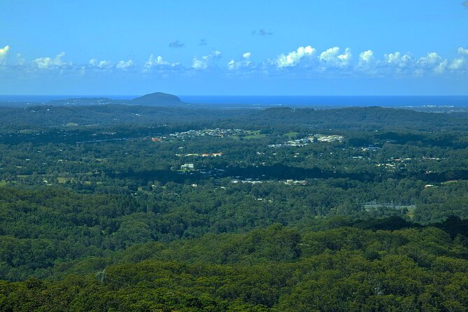 Noosa, Eumundi Markets, Glass House Mountains from Brisbane - The Ginger Factory at Yandina