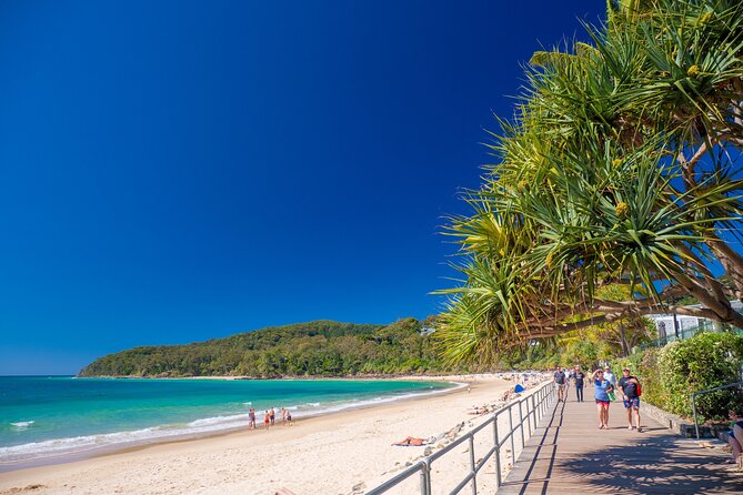 Noosa Heads and Eumundi Markets Private Tour from Brisbane - Key points at a glance