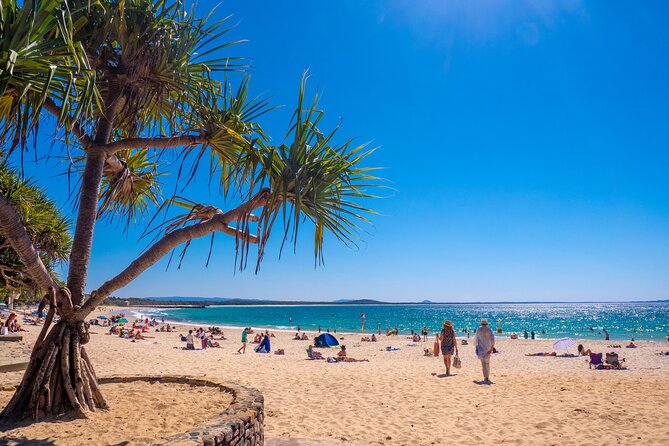 Noosa Heads and Eumundi Markets Private Tour from Brisbane - Mooloolaba Fish Market: worth adding if time allows