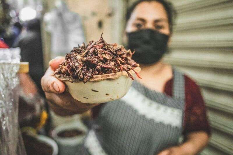 Oaxaca Markets Food Tour - What 20-plus tastings really means