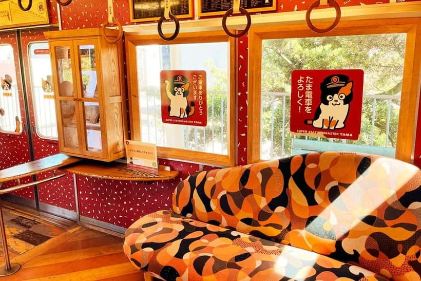 Osaka: Wakayama Cat Train, Seafood market, Hot Springs Tour - Key points at a glance