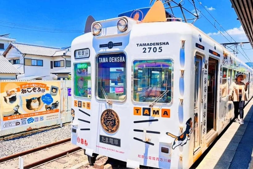 Osaka: Wakayama Cat Train, Seafood market, Hot Springs Tour - Why this Wakayama day trip works