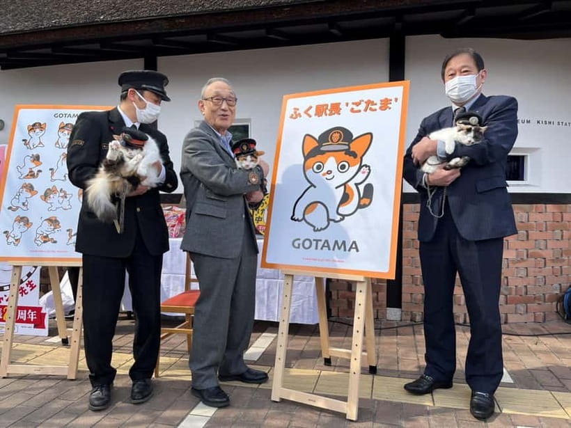 Osaka: Wakayama Cat Train, Seafood market, Hot Springs Tour - Choosing the right cat train