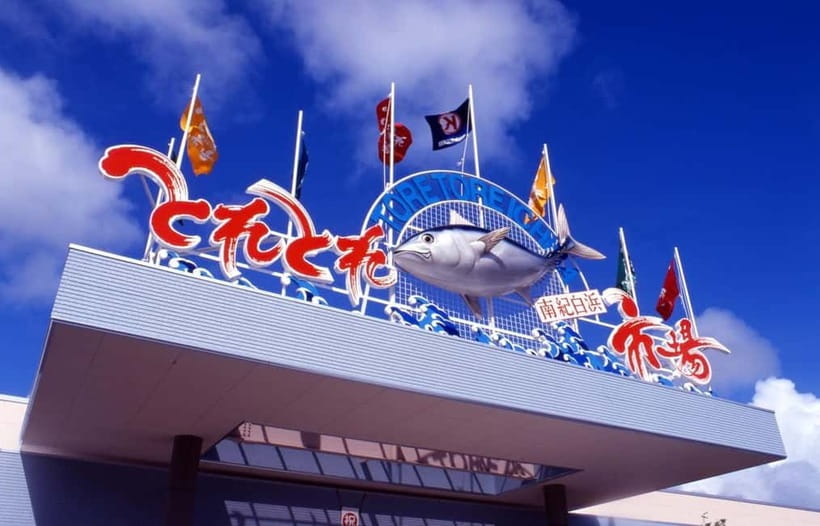 Osaka: Wakayama Cat Train, Seafood market, Hot Springs Tour - Senjojiki’s open rock shelves