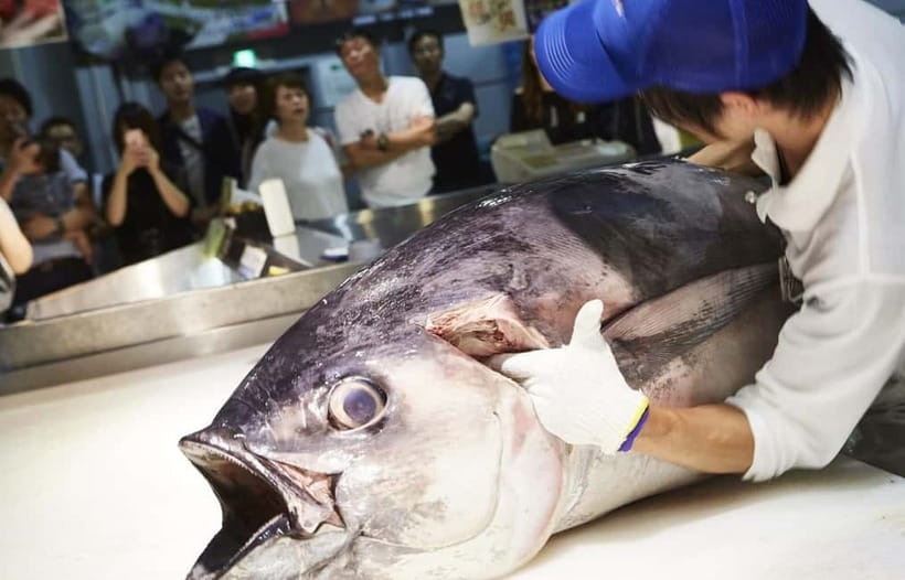 Osaka: Wakayama Cat Train, Seafood market, Hot Springs Tour - Sandanbeki Cave and the pirate connection
