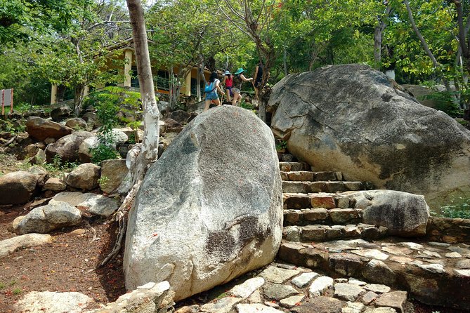 Palma Sola Secrets Petroglyphs Culture & Market Flavors withLunch - Key points at a glance