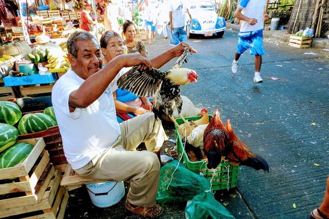 Palma Sola Secrets Petroglyphs Culture & Market Flavors withLunch - Who will get the most from this Acapulco outing