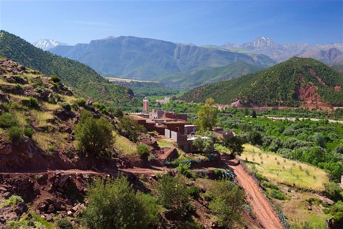 Paradise Valley excursion + local Breakfast + berber Market - Aourir’s artisanal souk and the market-day question