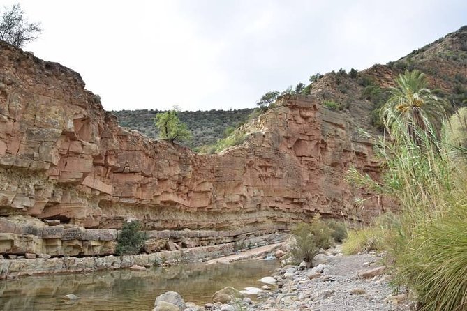 Paradise Valley excursion + local Breakfast + berber Market - Practical advice for a smoother morning