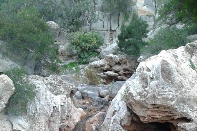 Paradise Valley excursion + local Breakfast + berber Market - Berber breakfast with amlou, honey, and argan oil