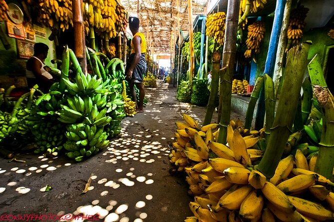 Paradise Valley & Gorge Adventure with Souk & Transfer - What the guide adds to the day