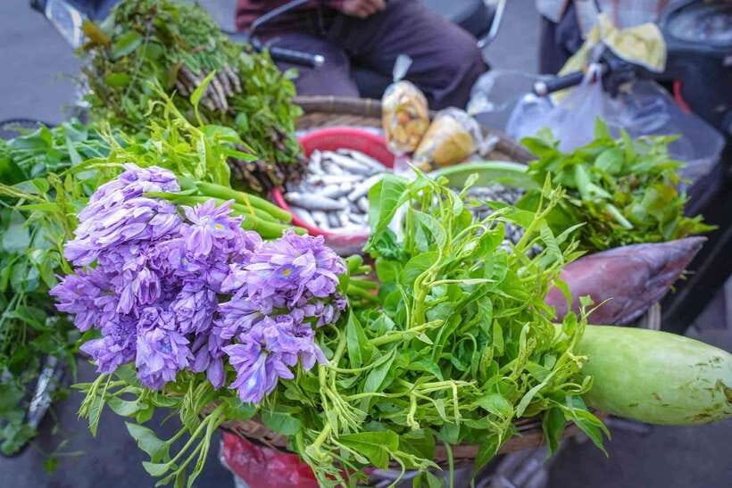Phnom Penh: Morning Market & Guided Breakfast Tour by Tuktuk - Finishing with coffee near the Russian Market