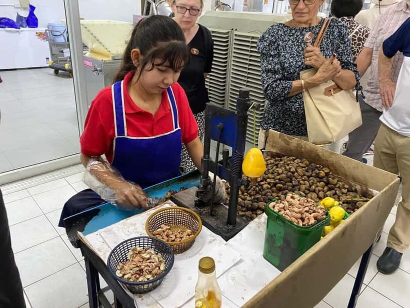 Phuket City Tour with Night Market Visit & Elephant Feeding - Wat Chalong in a short temple visit