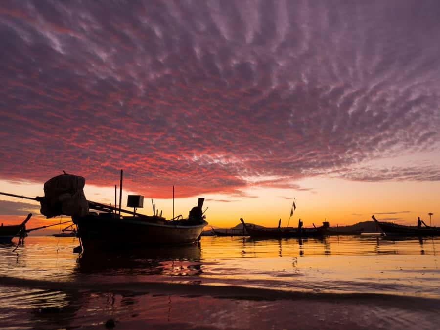 Phuket: Sunset View and Seafood Market Dinner Guided Tour - Choosing Seafood Without Guessing