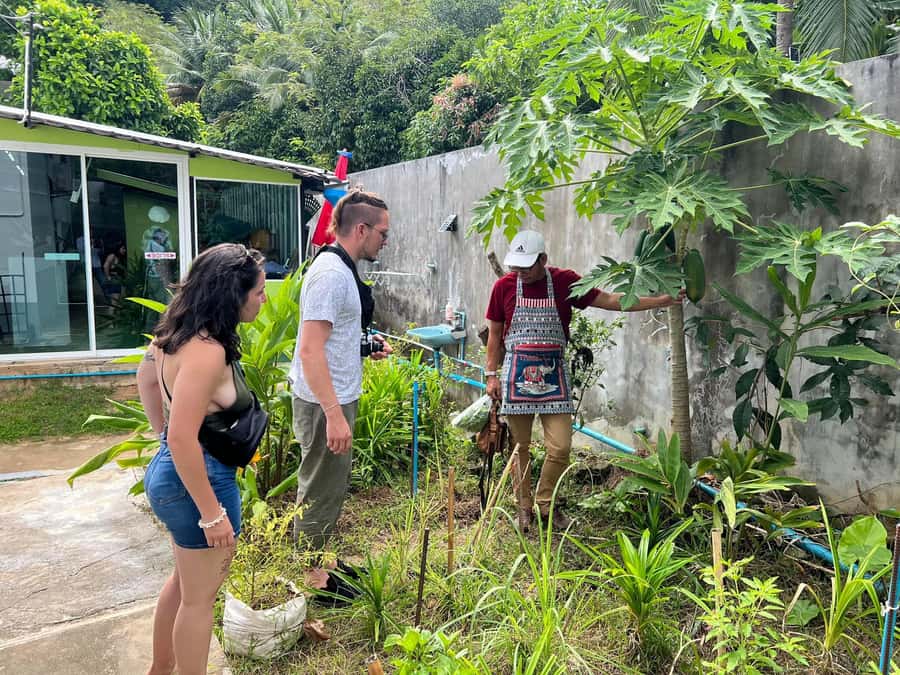 Phuket: Thai Cooking Class with Market Tour - Garden herbs, fruit trees, and a tropical tasting