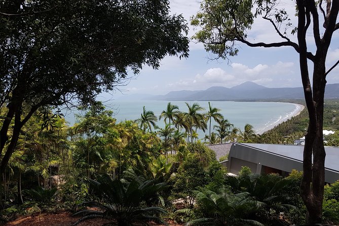 Port Douglas Sunday Markets Day Tour - Timing can make or break the day