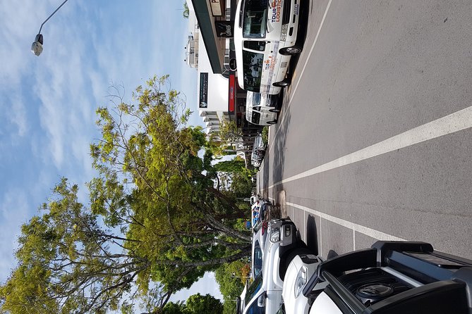 Port Douglas Sunday Markets Day Tour - Who will enjoy this half-day outing