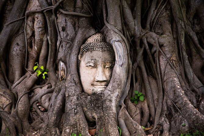 Private 4 days : Bangkok, Floating market and Ayutthaya - Chinatown, tuk tuks, and Bangkok after five